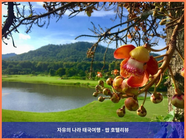 태국 람푼 호텔 추천, 가싼 쿤탄 골프 &amp; 리조트: 로맨틱한 커플 여행에 딱!