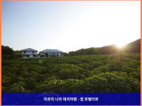 둘만의 힐링 천국, 산토사 헬스 라이프스타일 리조트! (태국 카오야이 호텔 추천)