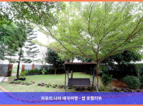 프라이빗 천국, 카오야이 국립공원 안 럭셔리 숙소! (태국 카오야이 호텔 추천)