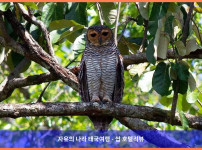 태국 카오락 호텔 추천: 카오락 멀린 리조트, 커플여행 숙소로 완전 강추!