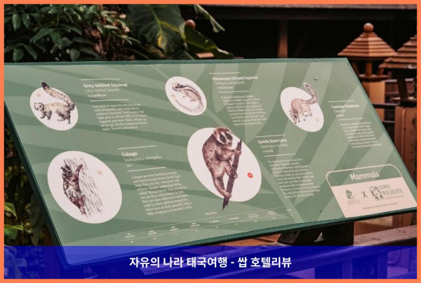 태국 카오락 호텔 추천: 카오락 멀린 리조트, 커플여행 숙소로 완전 강추!