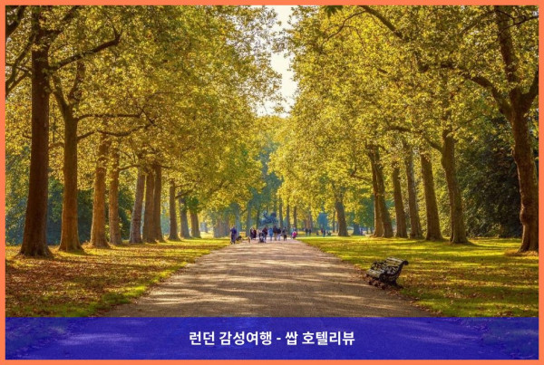 영국 런던 호텔 추천: 힐튼 런던 메트로폴 호텔, 커플 여행에 딱이야!