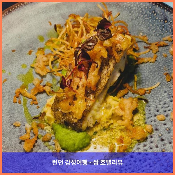 영국 토키 호텔 추천, 로맨틱한 오스본 호텔에서의 꿈같은 휴가