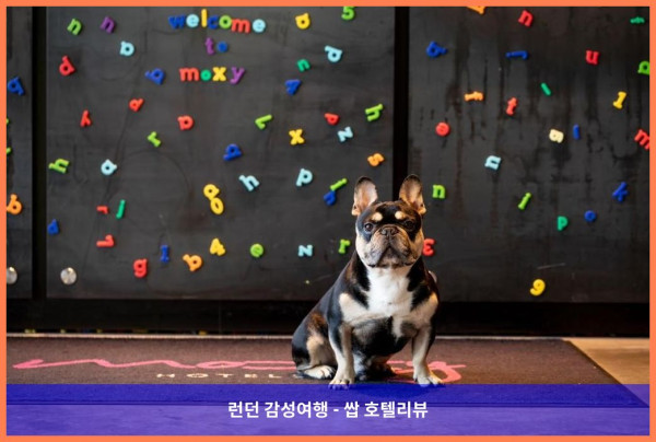 영국 런던 호텔 추천! 목시 런던 엑셀에서 보낸 로맨틱한 휴가 ❤️