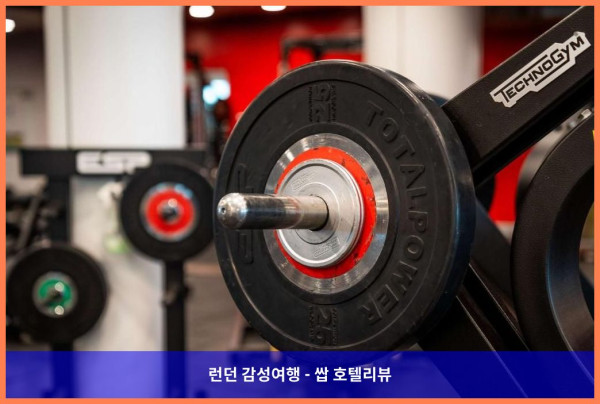 영국 런던 호텔 추천: Twickenham 스타디움 옆 로맨틱 호캉스, Radisson Individuals 후기!