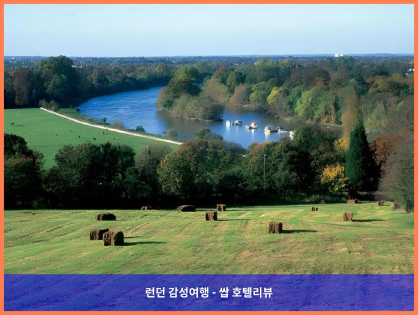 영국 런던 호텔 추천: Twickenham 스타디움 옆 로맨틱 호캉스, Radisson Individuals 후기!