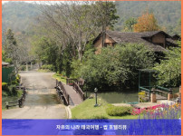 태국 치앙마이 호텔 추천! 하우스 B23 앳 벨 빌라 리조트 치앙마이 - 커플 여행 최고의 선택!