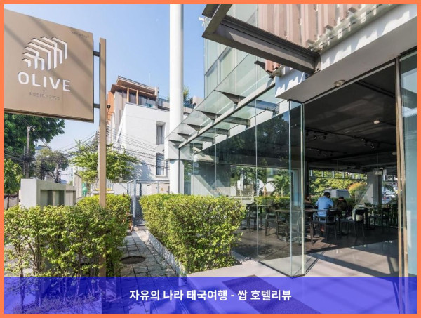 태국 방콕 호텔 추천! 올리브 방콕 호텔, 커플 여행 최고였어!