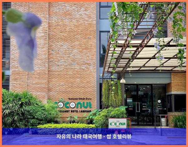 태국 람빵 호텔 추천! 더 코코넛 호텔, 커플 여행 최고였어! ????