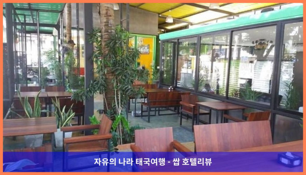 태국 람빵 호텔 추천! 더 코코넛 호텔, 커플 여행 최고였어! ????