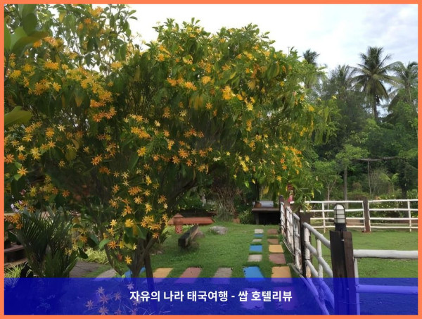 태국 수랏타니 호텔 추천! 루엔 타이 나이 방 바이 판삭 리조트, 커플 여행 최고였어! ????