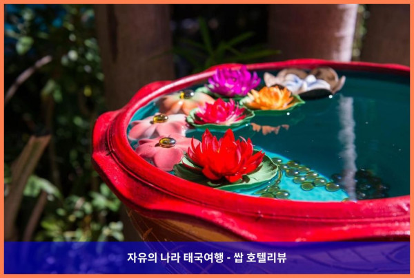 태국 푸켓 호텔 추천 :: 니파 리조트, 푸켓 여행 최고의 선택! 인생샷 보장!