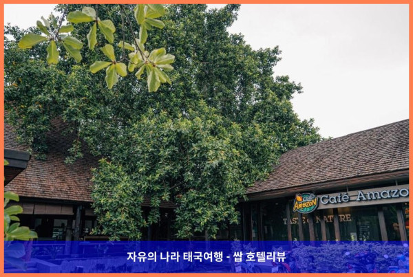 태국 콘캔 / 콘깬 호텔 추천: 인파와 부티크 호텔, 완벽한 커플 여행의 시작!