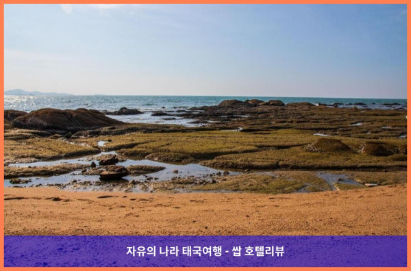 태국 파타야 호텔 추천! 파타야 센트럴 씨 뷰 풀 스위트, 인생 꿀휴가 보장!