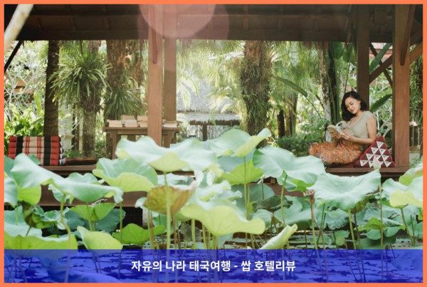 태국 카오락 호텔 추천! 카오락 반다리 리조트 앤 스파, 완전 강추!! ❤️