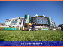 영국 리버풀 호텔 추천! 로맨틱한 여행에 딱! 머큐어 리버풀 애틀란틱 타워 호텔 후기 (커플 강추)