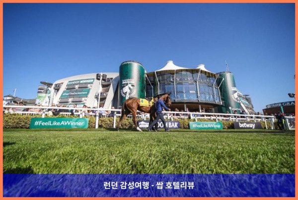영국 리버풀 호텔 추천! 로맨틱한 여행에 딱! 머큐어 리버풀 애틀란틱 타워 호텔 후기 (커플 강추)