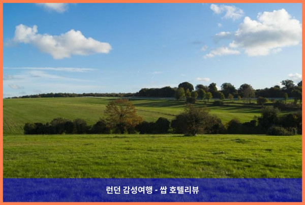 영국 런던 호텔 추천! 홀리데이 인 익스프레스 런던 - 엡솜 다운스에서의 로맨틱한 휴가