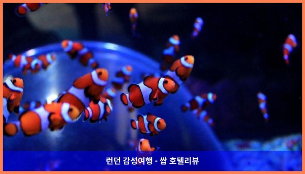 영국 브라이튼앤호브 호텔 추천: 로맨틱한 바닷가 휴가, 홀리데이 인 브라이튼 씨프런트 후기