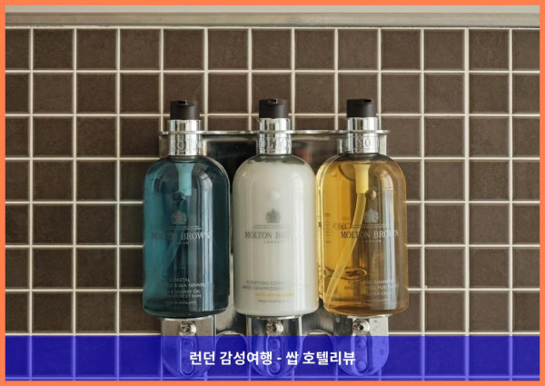 영국 런던 호텔 추천 - 몬태규 플레이스 호텔: 커플 여행에 딱이야!