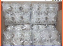 냉동쭈꾸미 6미 1박스 2.4kg (200g 12팩) 대용량 업소용, 1개