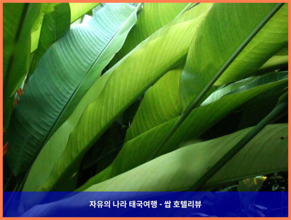 태국 깐짜나부리 / 칸차나부리 호텔 추천: 왕 동의 빌라, 잊을 수 없는 럭셔리 여행!