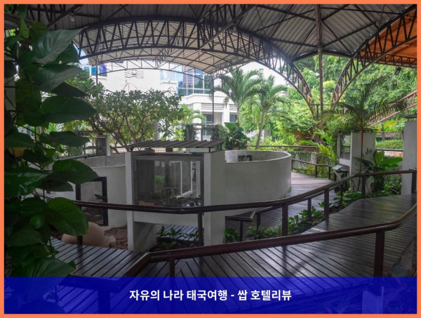 태국 방콕 호텔 추천! 호텔 닛코 방콕, 커플 여행 최고였어! ✨