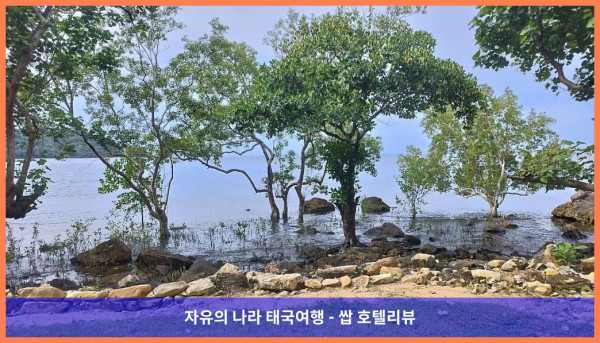 태국 꼬창 / 코창 호텔 추천! 낭만 가득한 네스트 센스 리조트 후기♥