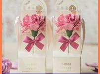 뷰티풀데코센스 비누꽃 한 송이 감사장 카네이션 2종 세트, 마브, 1개