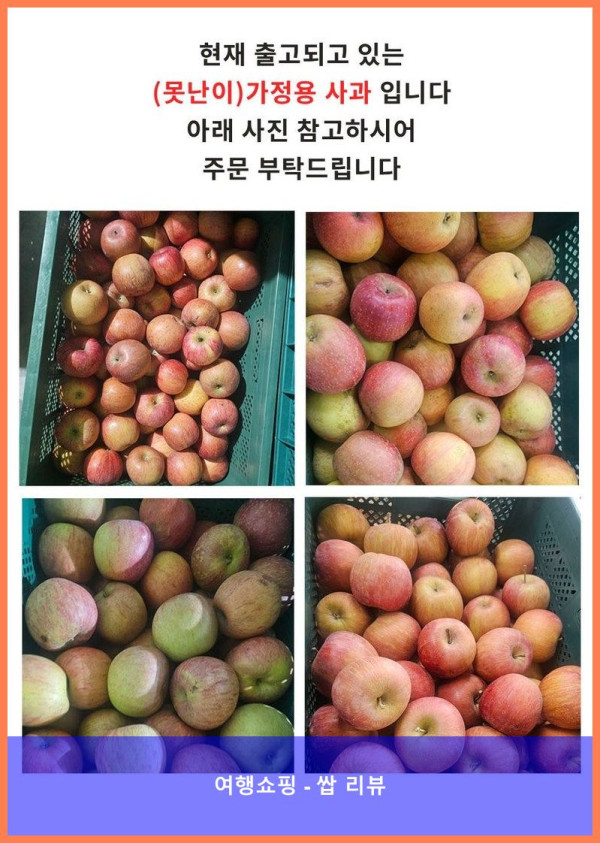 꿀사과 득템! 1kg에 이 가격 실화냐?! 사과 맛집 찾았다!