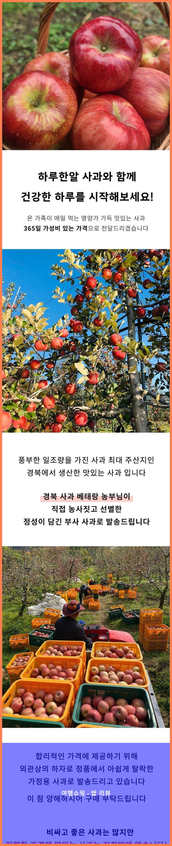 꿀사과 득템! 1kg에 이 가격 실화냐?! 사과 맛집 찾았다!