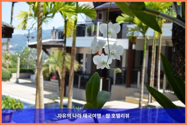태국 푸켓 호텔 추천 ???? 반 인 디 부티크 리조트, 완벽한 커플 여행 후기!